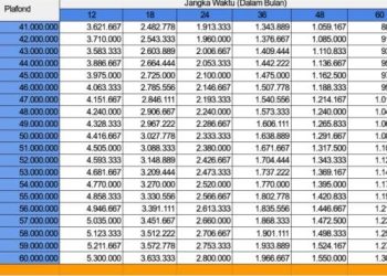 Rahasia Tetap Disetujui Pinjaman KUR BRI Meski Ada Hutang Pinjol