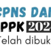 Rekrutmen CPNS Terbaru 2024: Peraturan Baru untuk Fresh Graduate