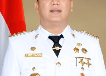Demokrat Pesawaran Tetap Usung Aries Sandhi Meski Perolehan Kursi DPRD Turun