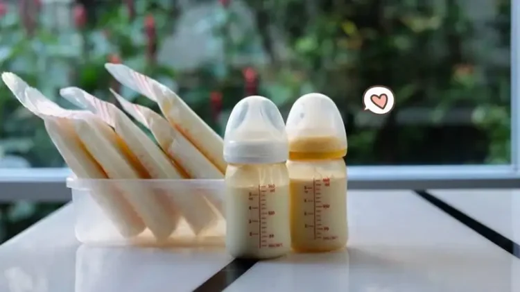 4 Kriteria Penting Sebagai Donor ASI: Jaga Nutrisi Bayi dengan Bijak