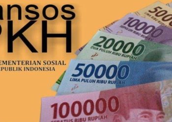 SELAMAT! 3 Kota Ini Sudah Bisa Cairkan Bansos Mitigasi Risiko Pangan
