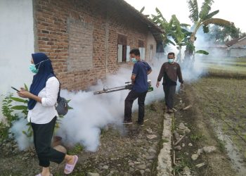 Antisipasi DBD, Dinas Kesehatan Tanggamus Fogging di Pekon Kota Batu