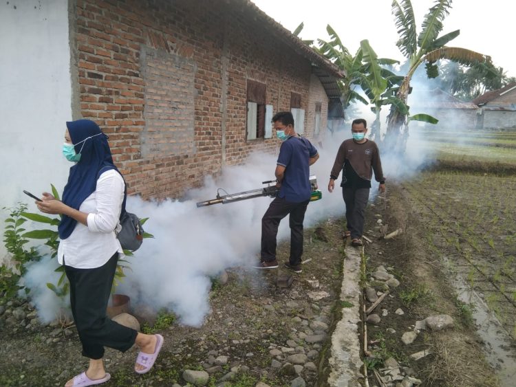 Antisipasi DBD, Dinas Kesehatan Tanggamus Fogging di Pekon Kota Batu