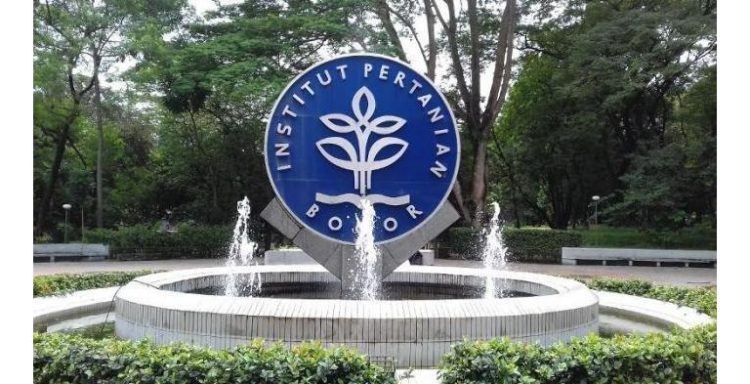 55 Universitas di Indonesia Batal Naikkan UKT: Dukungan Bagi Mahasiswa Tidak Mampu