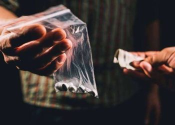  Fakta Penting Mengenai Peredaran Narkoba di Indonesia