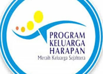  Kategori KPM Prioritas dalam Bansos PKH