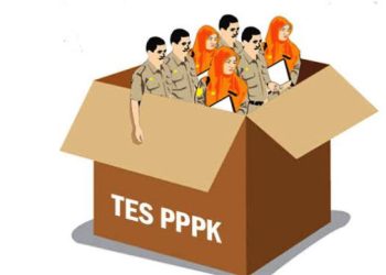 Kecemasan Pegawai Pemerintah dengan Perjanjian Kerja (PPPK): Tantangan Serius yang Perlu Diatasi