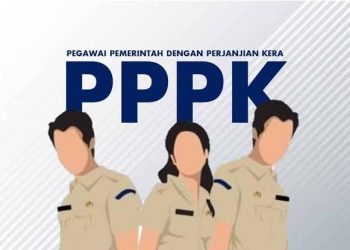 PENGUMUMAN: KemenPAN-RB Menyiapkan Kuota untuk Pengangkatan Tenaga Honorer