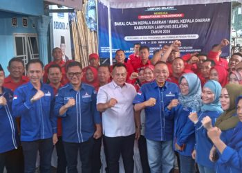 Partai Demokrat: Nanang Ermanto Bebas Pilih Pasangan Calonnya