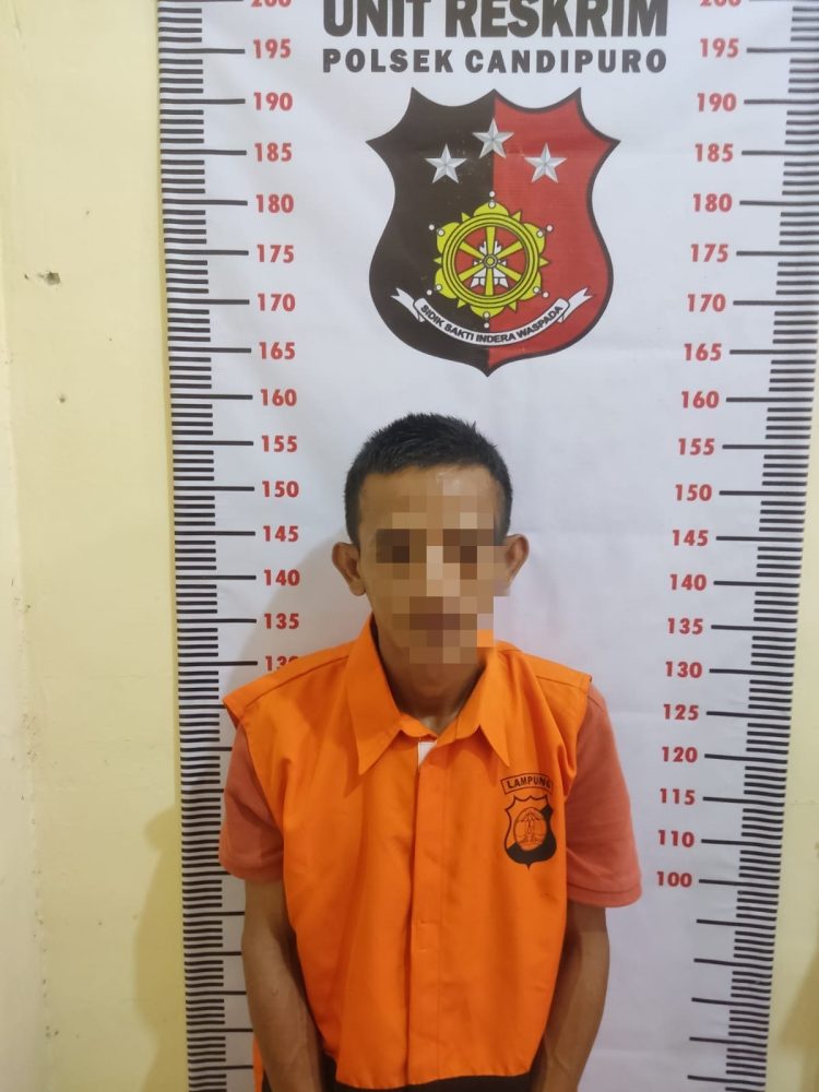 Kedapatan Miliki Narkotika dan Senjata Tajam, Dua Pemuda Di Ciduk Polsek Candipuro