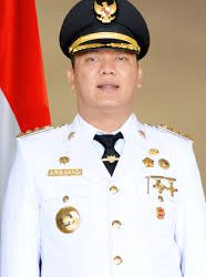 Aries Sandi Lebih Diunggulkan Ketimbang Nanda Indira dalam Pilkada Pesawaran