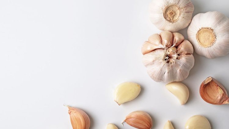 Bawang Putih: Khasiat dan Cara Mudah Menanam di Rumah