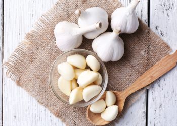 Rahasia Kesehatan dari Bawang Putih: Lebih dari Sekadar Bumbu Dapur