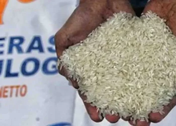 Kabar Gembira! 3 Daerah Sudah Cairkan Bansos Beras, Siapa Saja Mereka?