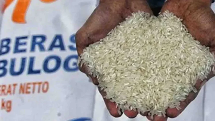 Kabar Gembira! 3 Daerah Sudah Cairkan Bansos Beras, Siapa Saja Mereka?