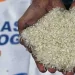 Kabar Gembira! 3 Daerah Sudah Cairkan Bansos Beras, Siapa Saja Mereka?