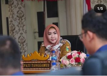 Dilema PDIP di Pilkada Tanggamus: Kader Pindah Partai Tapi Masih Ingin Rekomendasi PDIP