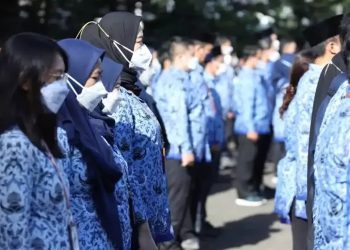 Formasi CPNS 2024 Terbuka untuk Lulusan SMA/SMK: Ini Daftarnya