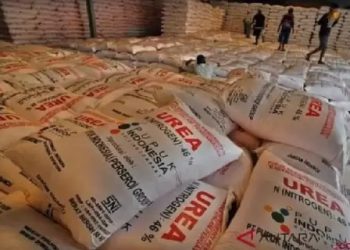 Pupuk Palsu: Musuh Tersembunyi Pertanian Indonesia!