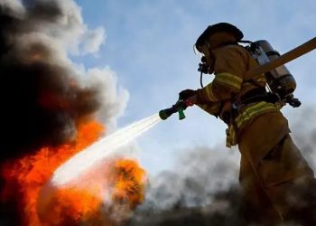 Petugas Pemadam Kebakaran: Pelindung Masyarakat, Tak Hanya Melawan Api