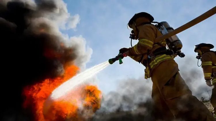 Petugas Pemadam Kebakaran: Pelindung Masyarakat, Tak Hanya Melawan Api