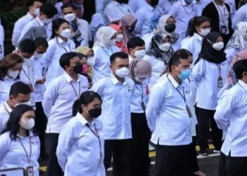 CPNS atau PPPK 2024? Yuk Cek Status Verifikasi Tenaga Honorer Online!