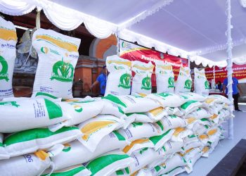 Pemerintah Rencanakan Penghentian Penyaluran Bansos Beras 10kg Mulai Juni 2024