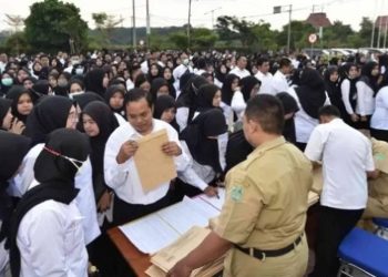 Kesalahan yang Perlu Dihindari agar Pendaftar CPNS 2024 Berpeluang Lolos Seleksi