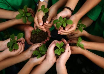 SEDANG TREN!Ini Pengertian Green Job dan 6 Jenis Pekerjaan Green Job