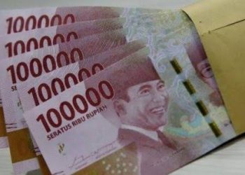 Besaran Gaji PPPK Paruh Waktu Terbaru 2024