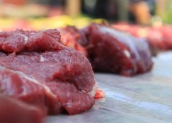 Klarifikasi Mengenai Status PNS dalam Penerimaan Daging Kurban: Apa yang Perlu Diketahui