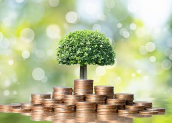 Cara Memaksimalkan Keuntungan di Reksadana Pasar Uang