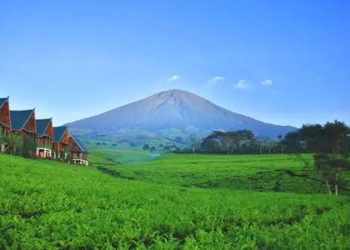 Dikenal dengan Udaranya yang Sejuk, Ini 5 Obyek Wisata Terkenal di Pagar Alam