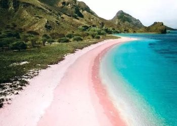 Punya Keindahan Alam yang Memukau, Ini Rekomendasi Obyek Wisata di Labuan Bajo