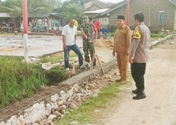 Program Dana Desa 2024: Pekon Wonosari Laksanakan Pembangunan Talud dan Penyabesan