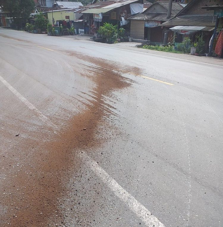 Lapor Bu Wali Kota, Debu dan Kutu Bungkil Diduga Milik PT SJIM di Panjang Sebabkan Balita 4 Tahun Harus Jalani Operasi