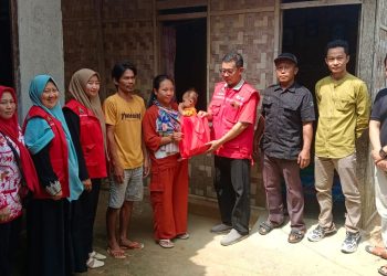 Dinkes Lamsel Tanggap, Langsung Menyambangi Adnan Juliananda, Balita Penderita Lumpuh Otak di Merbau Mataram