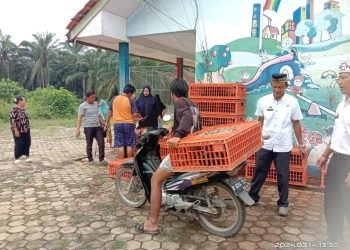 Pekon Waya Krui Salurkan BLT Kepada Keluarga Penerima Manfaat.