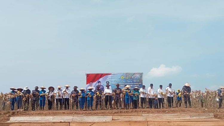 Menteri Pertanian dan Wakasal Puji Ketahanan Pangan TNI AL di Lampung