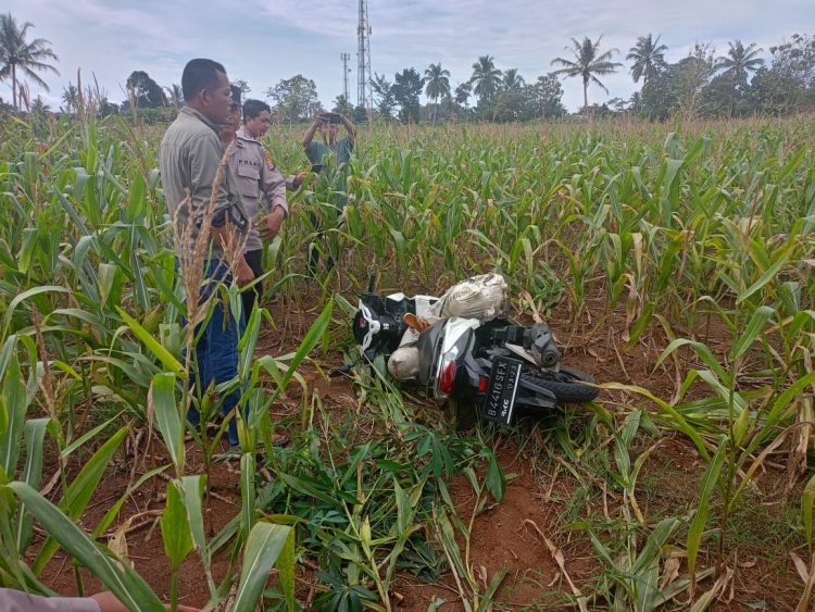 Penemuan Tragis di Lampung Timur: Mayat Perempuan Ditemukan dalam Karung di Ladang Jagung