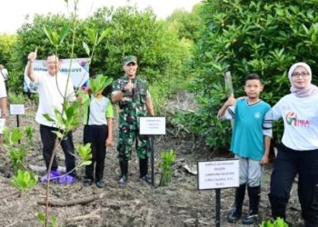 Kajari Lampung Selatan Tanam 5000 Bibit Pohon Mangrove di Kawasan Pantai Timur Lampung Selatan 