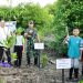 Kajari Lampung Selatan Tanam 5000 Bibit Pohon Mangrove di Kawasan Pantai Timur Lampung Selatan 