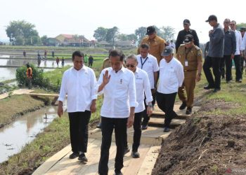 Jokowi ke Lamsel, Elektabilitas Radityo Egi Pratama Makin Moncer