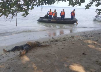 Tim Gabungan Satpolairud Pesawaran Temukan Mayat Anonim di Pulau Pahawang