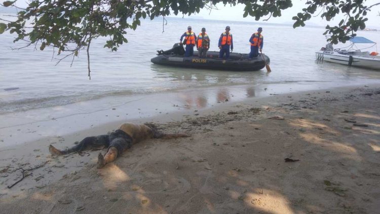 Tim Gabungan Satpolairud Pesawaran Temukan Mayat Anonim di Pulau Pahawang