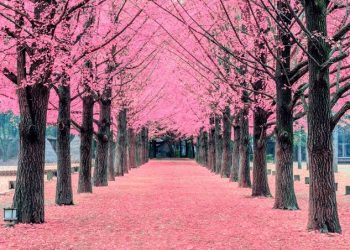 5 Obyek Wisata di Korsel ini Kerap jadi Lokasi Syuting Drama Korea Terkenal, Apa saja?