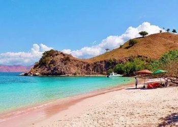 Pink Beach yang Memukau, Opsi lain Traveling ke Pulau Komodo