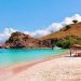 Pink Beach yang Memukau, Opsi lain Traveling ke Pulau Komodo