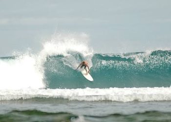 Ombak Pantai Tanjung Setia jadi Surga para Peselancar Dunia