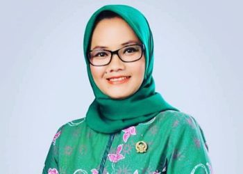 Ela Borong Parpol, Dawam Rahardjo Masih Punya Harapan di Pilkada Lamtim